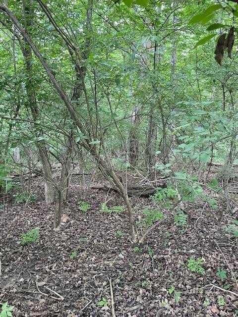 Listing photo 28